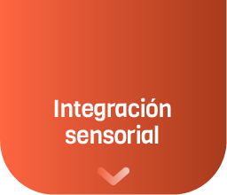 integracion sensorial
